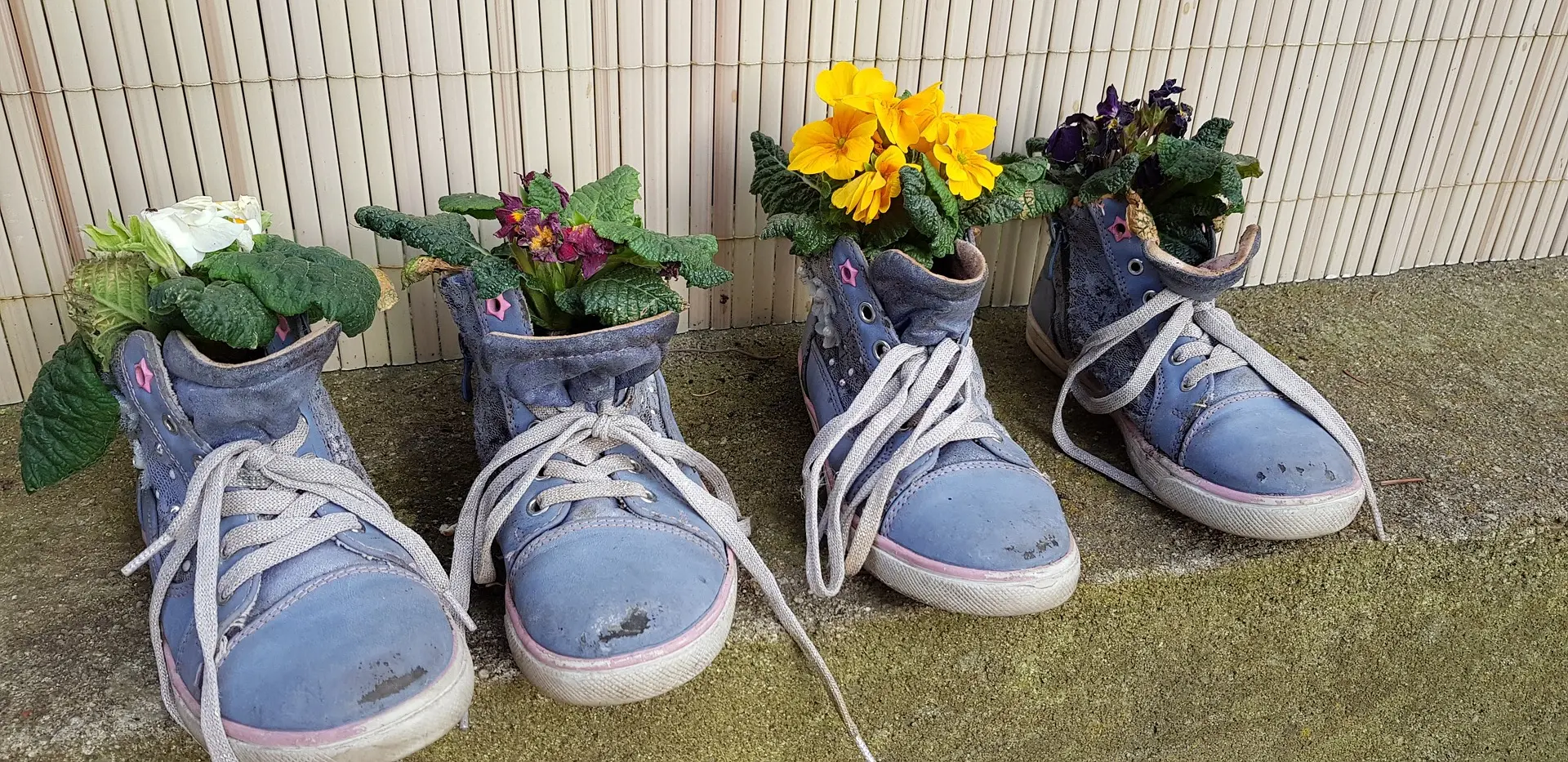 Blommor i skor